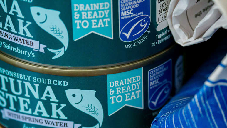 ©Brett Jordan on Unsplash