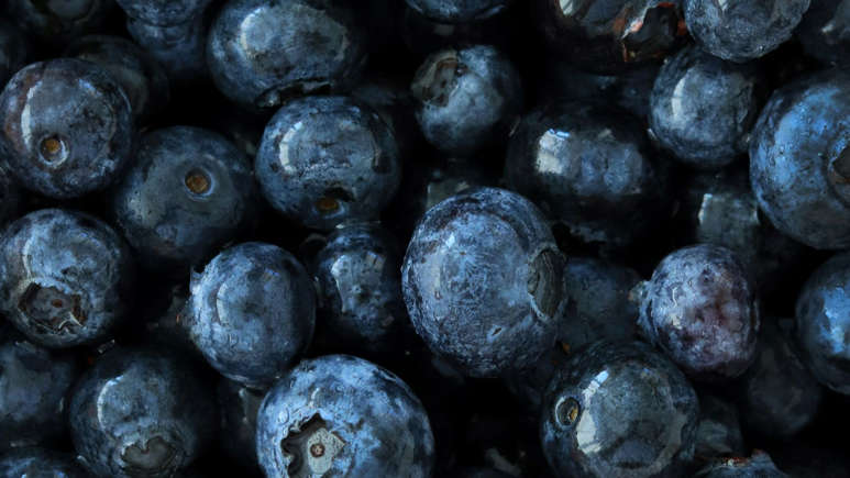 ©Cody Chan on Unsplash