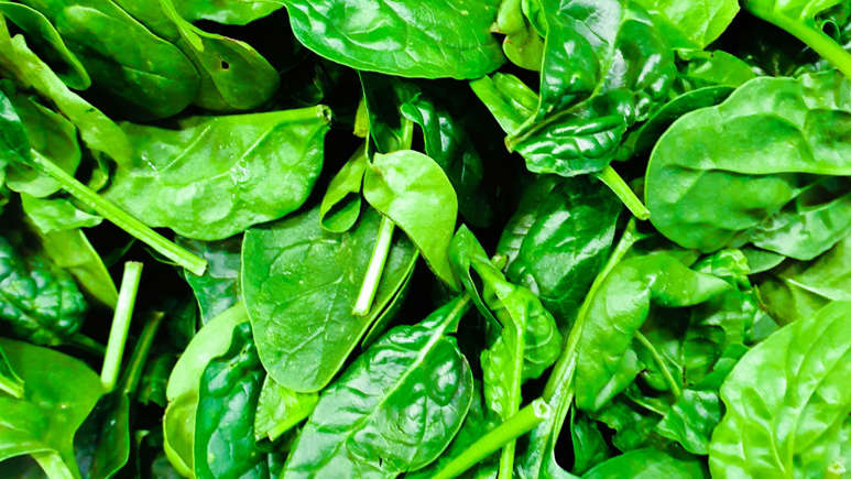 ©Shutter Sphere Collective on Unsplash