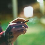Photo by Erik Mclean on Unsplash
