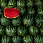 Photo by Crina-Miriam Cretu on Unsplash